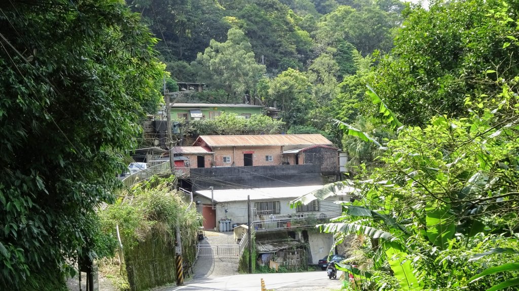 土白公路版_1662797