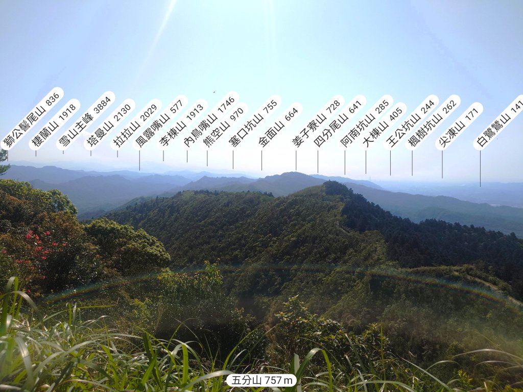 春天鮮綠的呢喃基隆荖寮坑古道上望古山登五分山O型_2747297