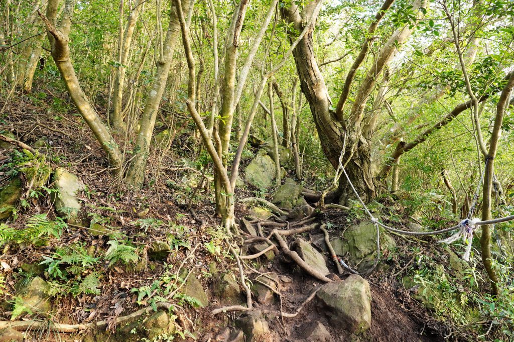 新北 八里 觀音山、牛港稜山_2681326