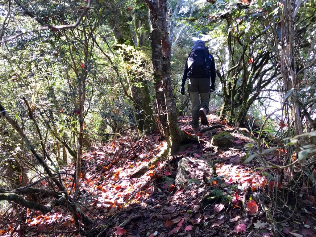 養老山走基那吉山_494161