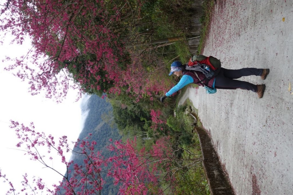 小鬼湖林道上亞泥迪山_1276745