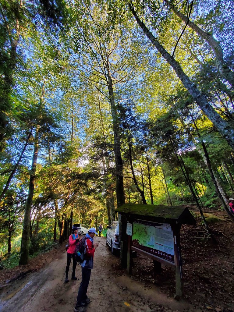 加里山大坪登山口P型縱走_1108350