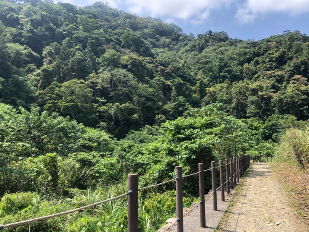 蓬萊護魚步道_1091569