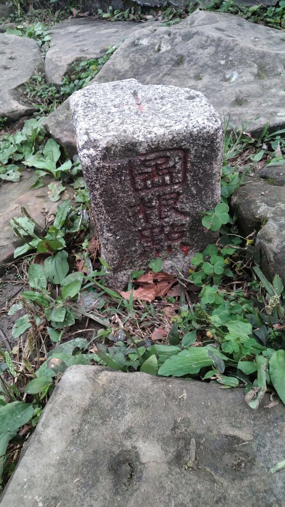 2020.2.28大尖山步道之旅_1411204