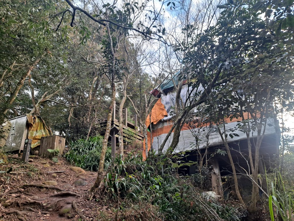 大坑步道(1~5&3-1、5-1)_1995033