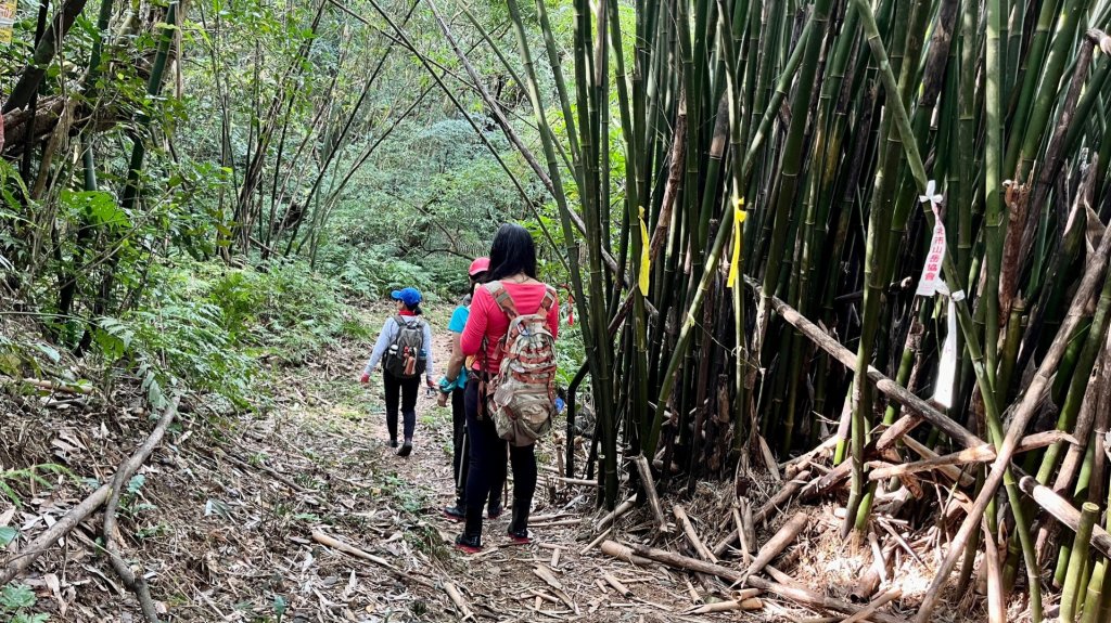 東勢大崙、東勢坑山、觀音湖山O走_2986380