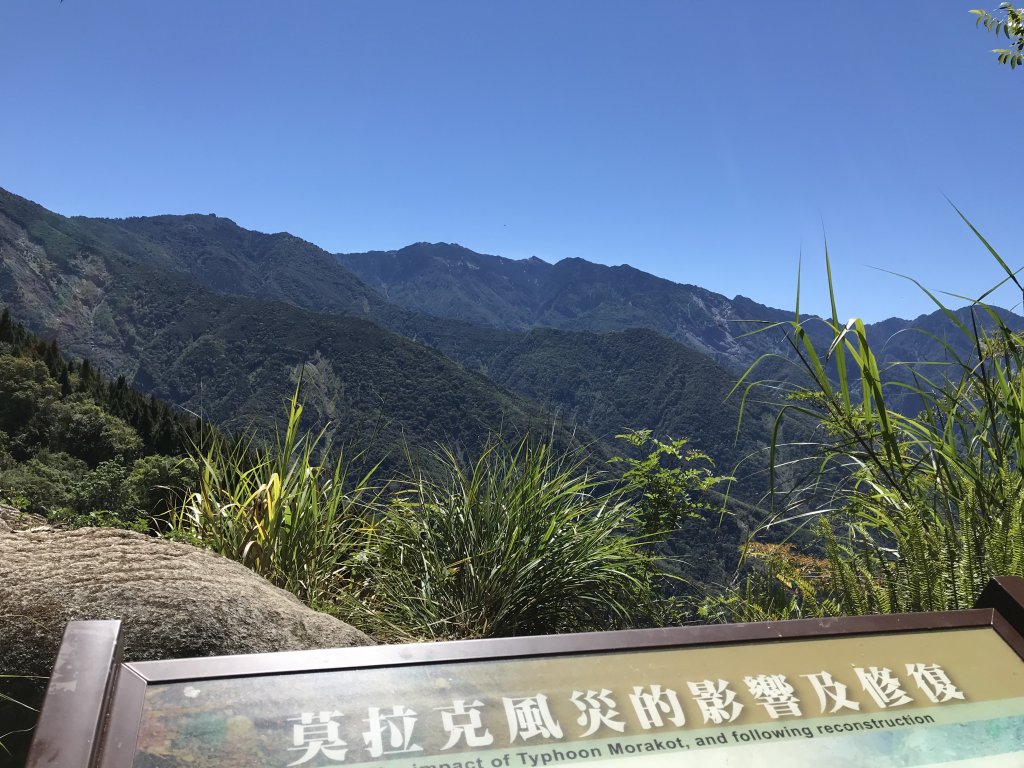 110年5月16日高雄   藤枝國家森林遊樂區_1456890