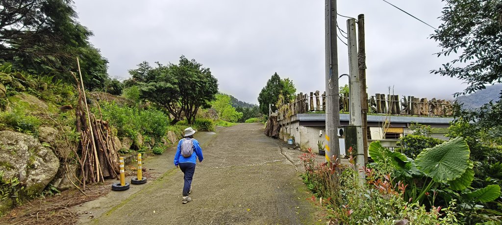 2025/03/16_蓬萊溪護魚步道+萊園坪山_2737582