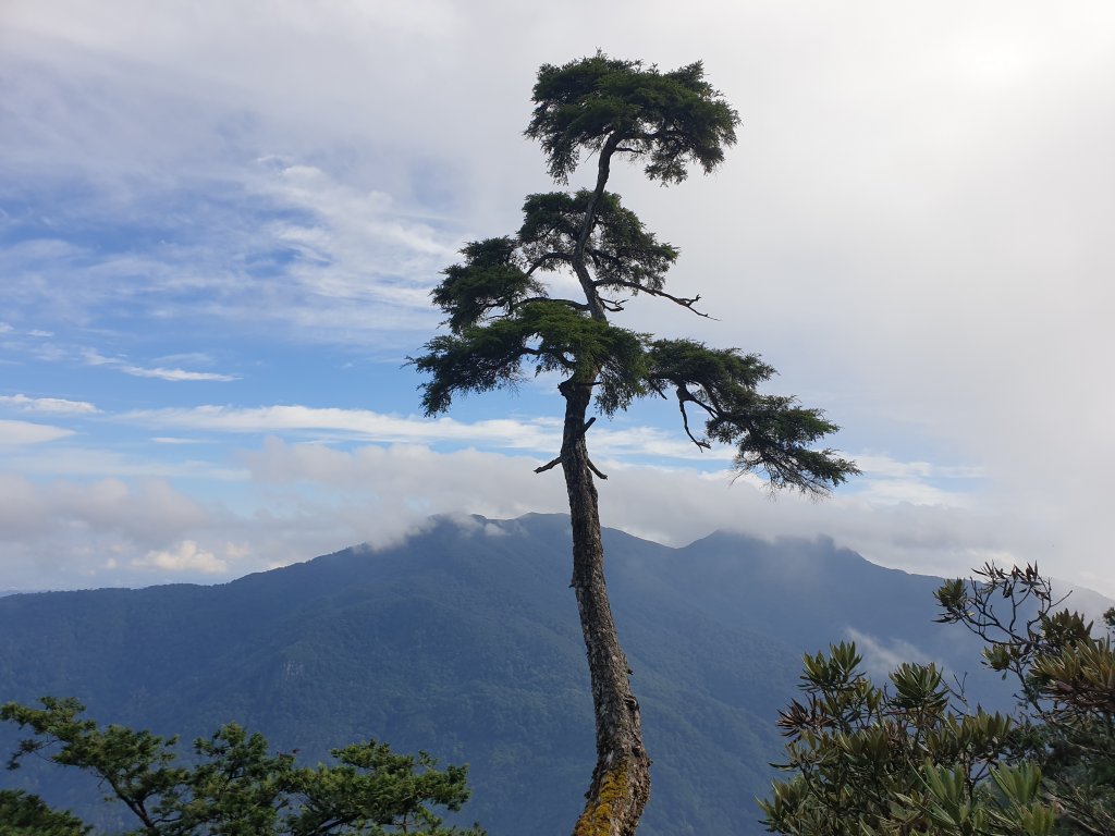 夫婦山封面圖