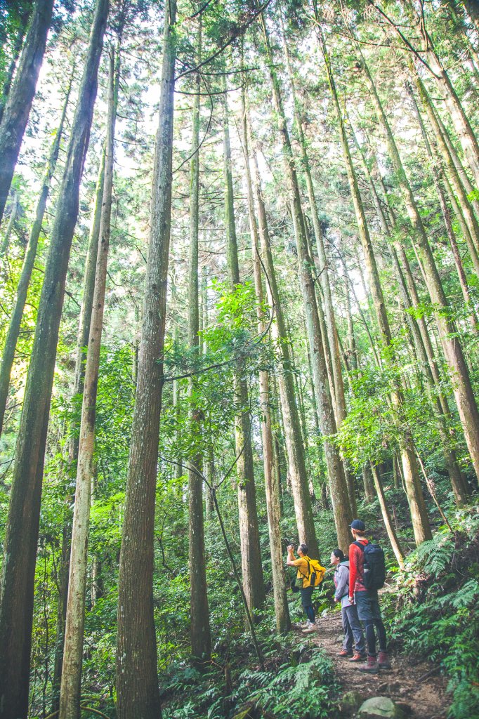 20200815-[苗栗] 加里山_1633287