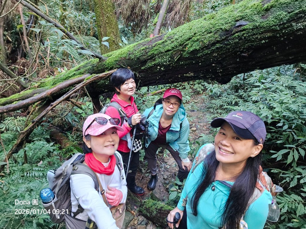 20260104源茂山.源茂山西峰.和尚髻山O走+親水觀魚步道_2977695