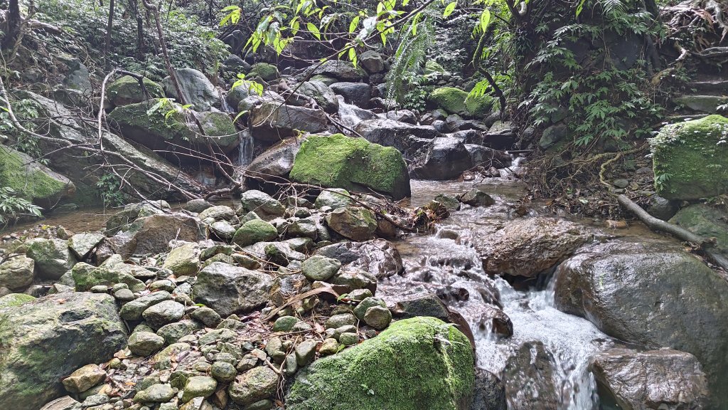 楊廷理古道_2814587