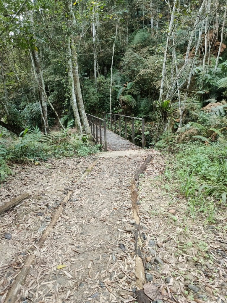 步道巡訪員 l 1023 日澀水森林步道巡訪_1140617