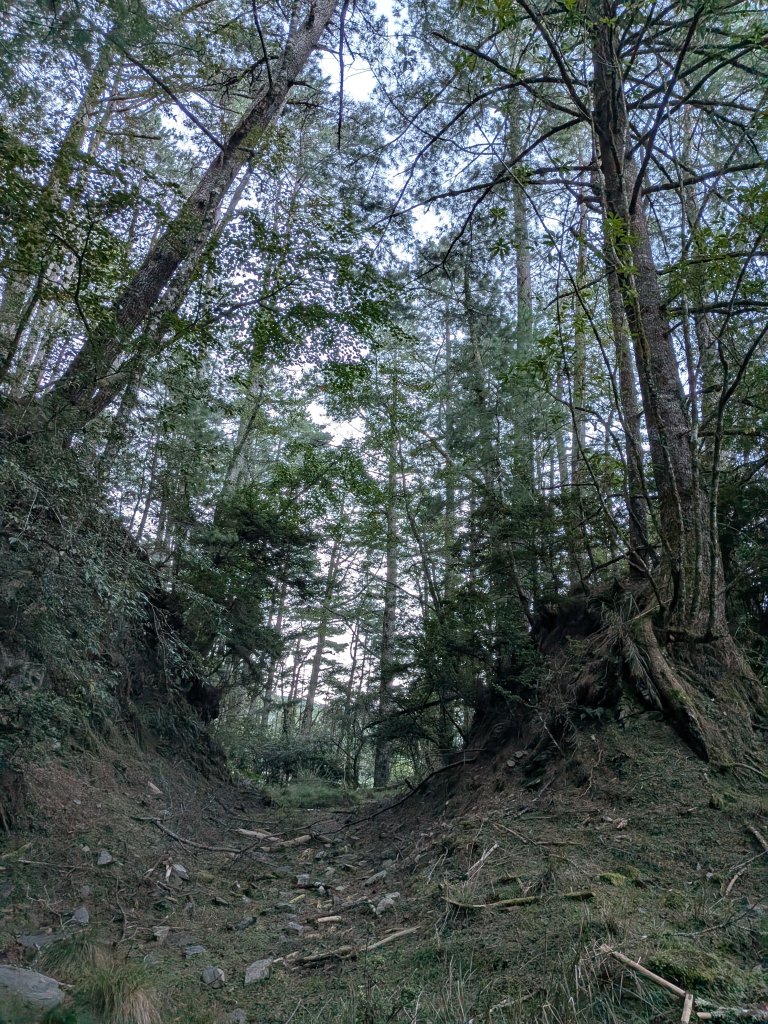 結界縱走三日(結城山、境界山、檜山)_2920879