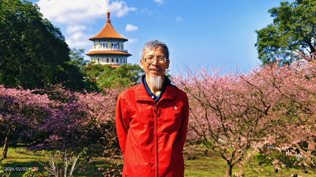 天元宮了嗎？2/3_2992665