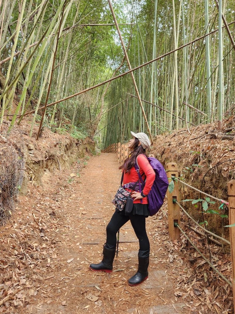 112/2/11芝生毛台山、屯野生炮台_2148006