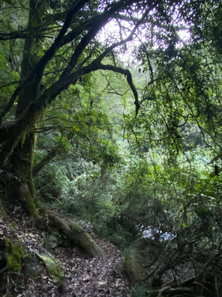 桃山。今夏最美的360度大景_1482801