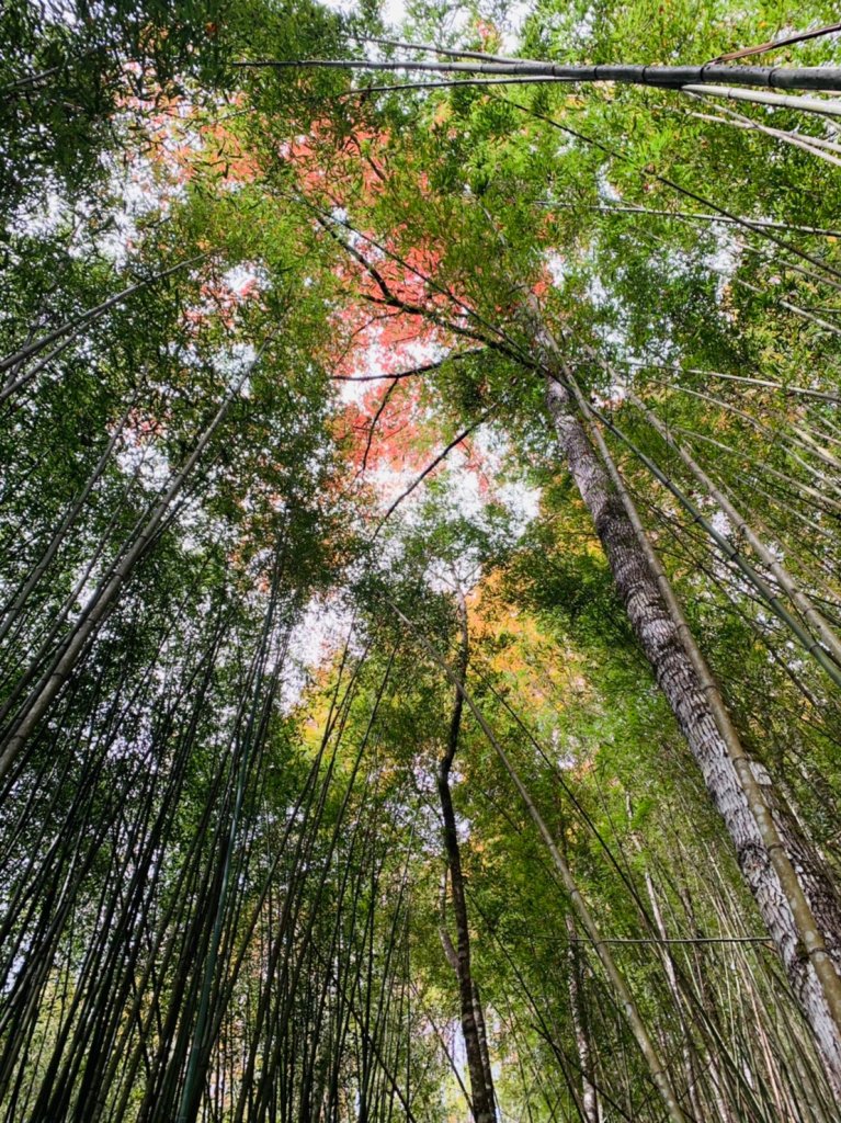 霞喀羅古道_1574798