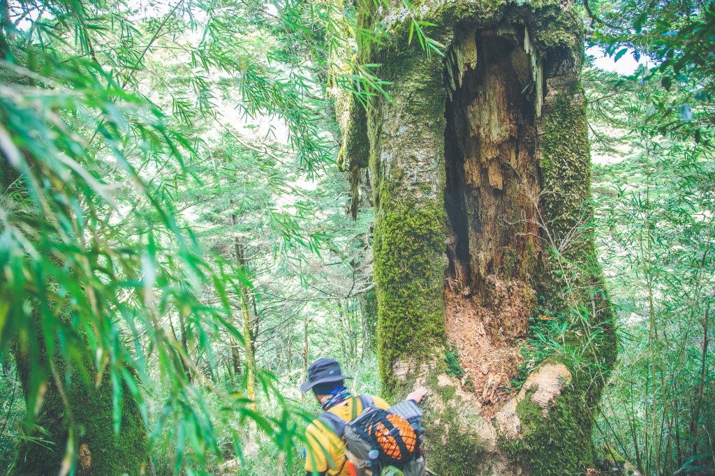 20200904~6-[南投] 奇萊主北_1633189