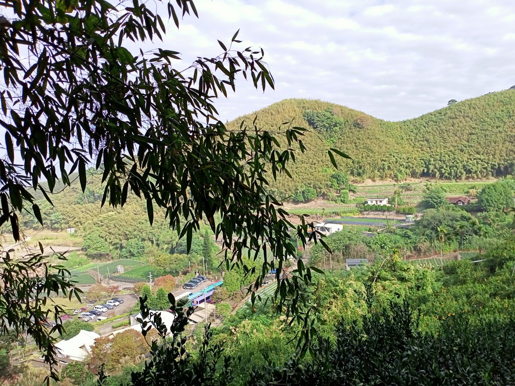 【小百岳集起來】馬那邦山-孫悟空的花果山_1207670