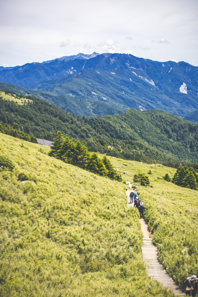 20220718-[南投] 合歡東峰步道_2433042