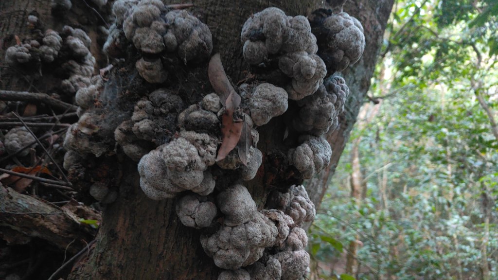 衣丁山單攻初體驗2025年3月30日封面圖