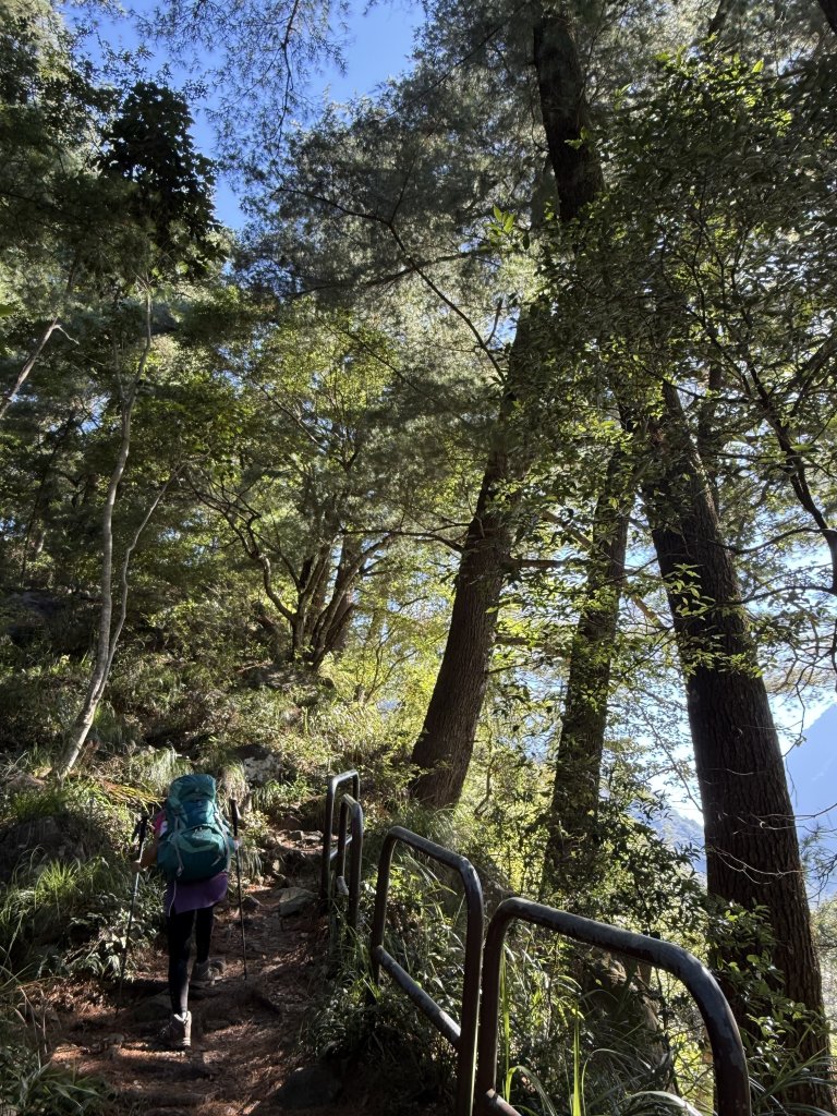 波津加山 20250914_2893369