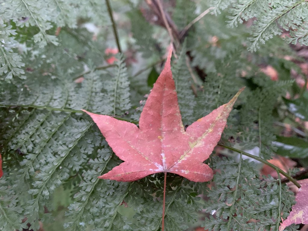20260119高雄尾寮山(第24刷)封面圖