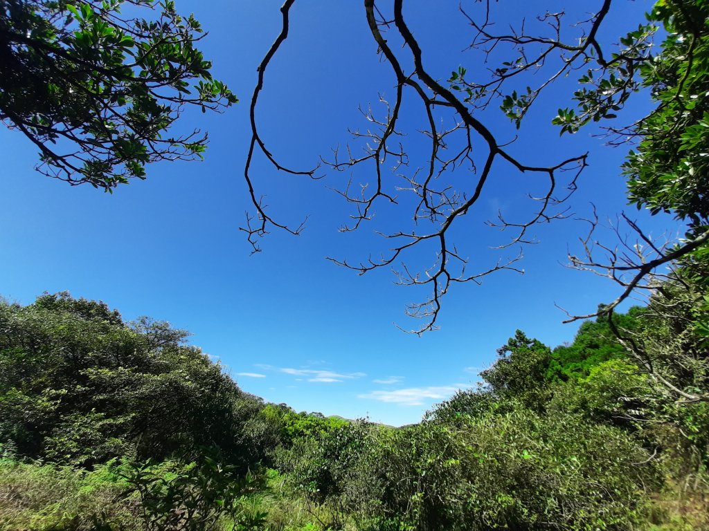 臺北大縱走3：擎天崗、頂山石梯嶺步道_669835