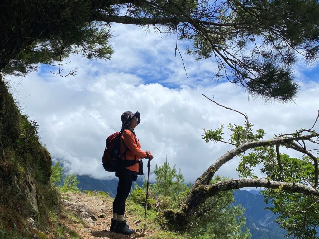 塔塔加黑森林_2668027