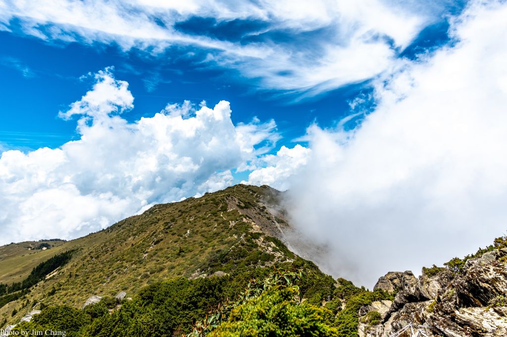 南湖大山賞花行_336895