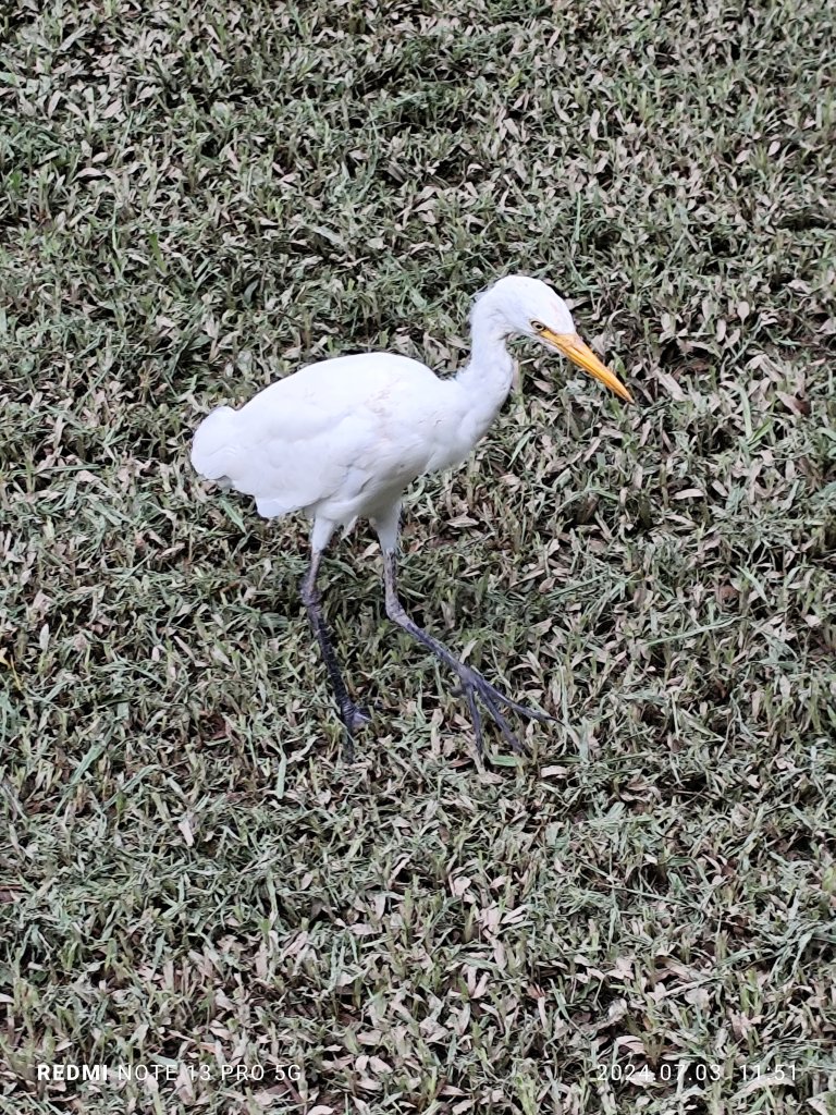 大安森林公園【走路趣尋寶】【臺北健走趣】_2541493