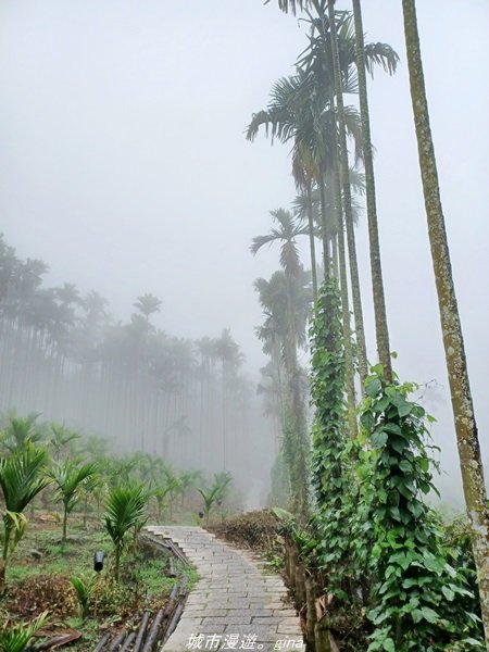 【雲林古坑】適合親子散散步。 華山小天梯情人橋_1681765