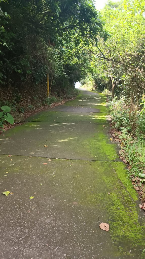 百大：小崗山健行步道_1766299