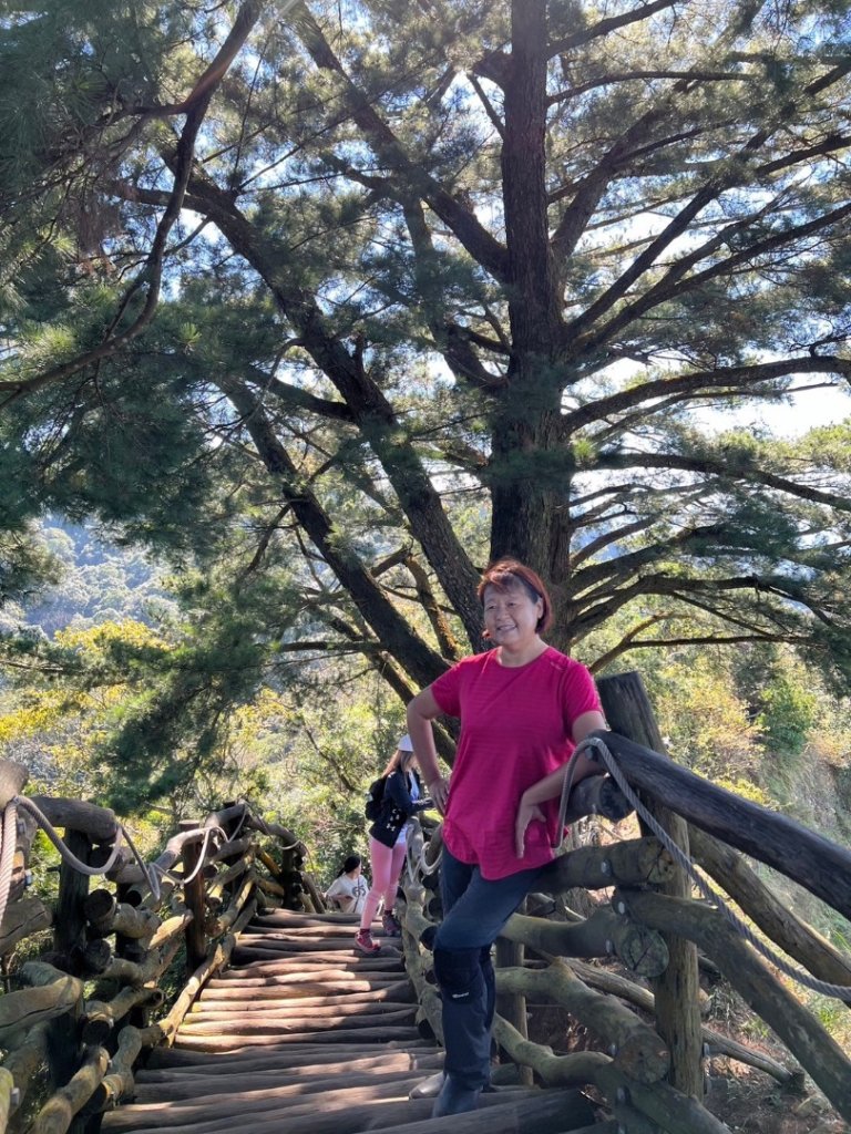 大坑五號步道、5-1號步道、頭嵙山_2668096