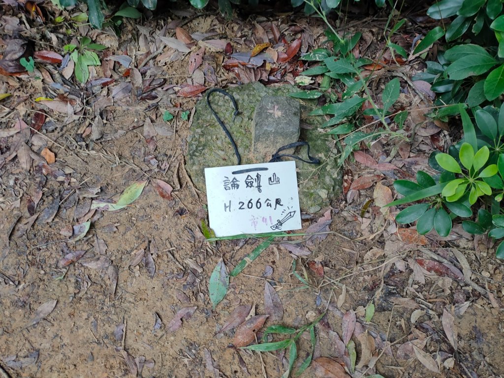 ［金劍縱走］（金面山~劍潭山）（2023/11/14）_2352835