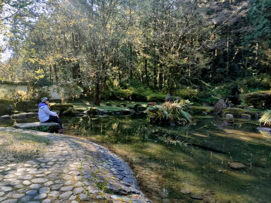 20220226 明池森林遊樂園，棲蘭神木園_1618885