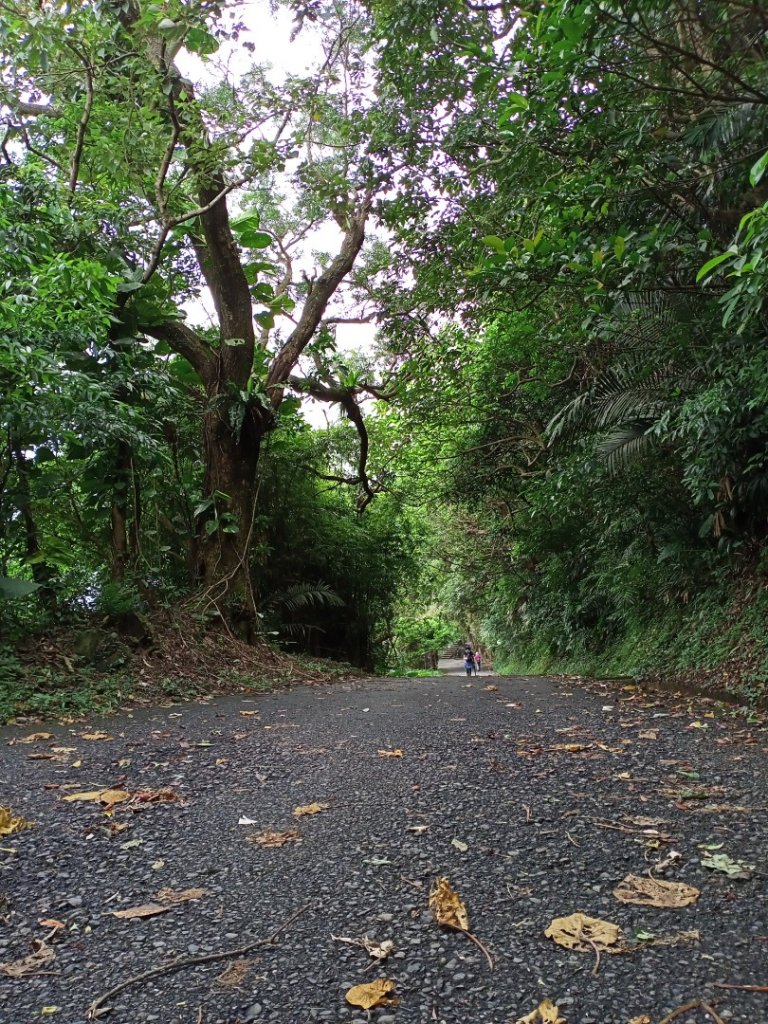 【新北－臺灣百大必訪步道】草嶺古道3-3_1137325