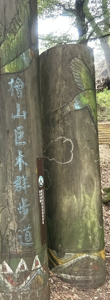 檜山巨木森林步道封面圖