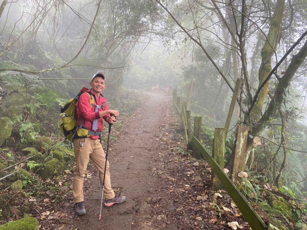 馬那邦山.細道邦山【你 不能預判山的變幻莫測】_2401466