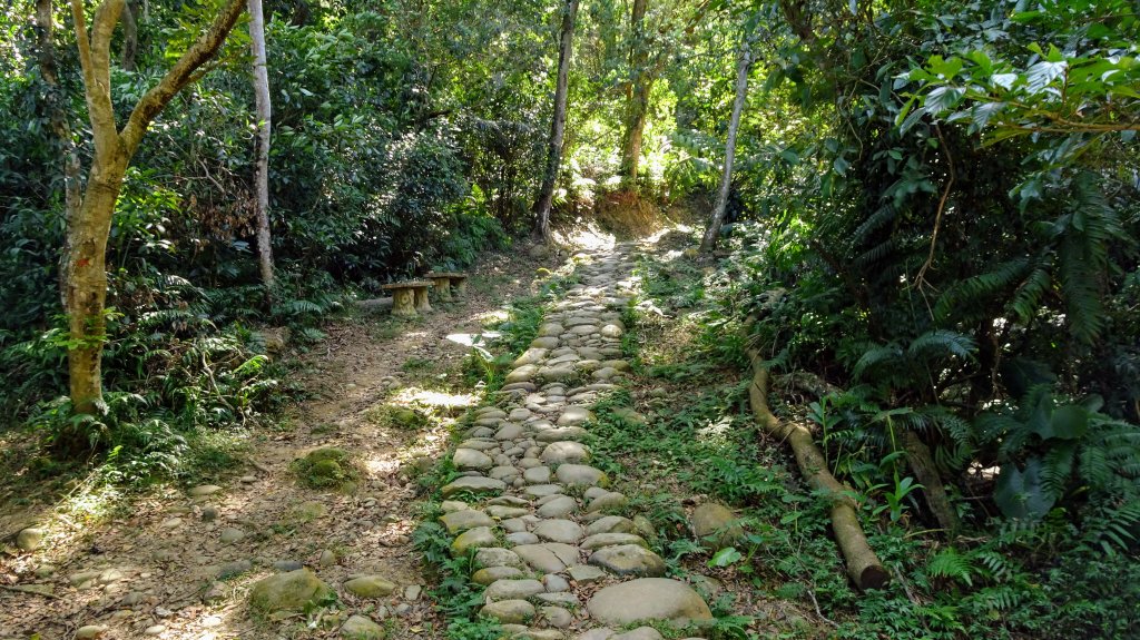 金棗，我想來點打鐵寮古道，叮咚。_1150031