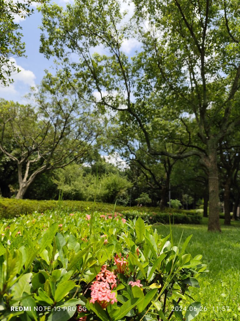 大安森林公園【走路趣尋寶】【臺北健走趣】_2536144