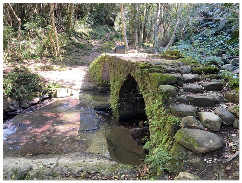 草嶺山、白石山、頭寮山 六連峰 O型路線_2798614