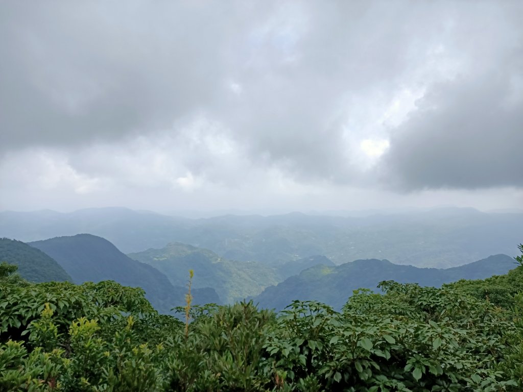 東眼山封面圖