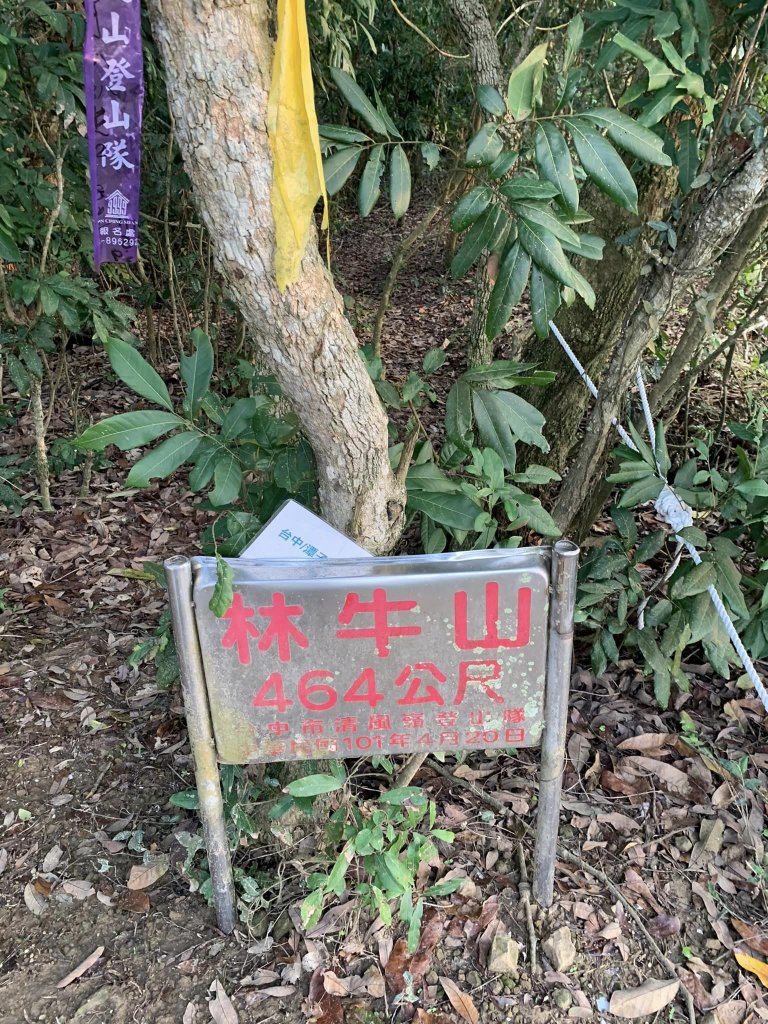 台中潭子聚興山環O林牛山一圈（小百岳）封面圖