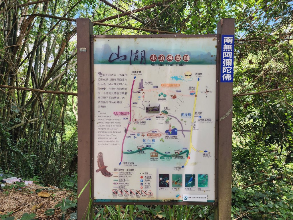 小百岳No.48⛰橫山_2532058