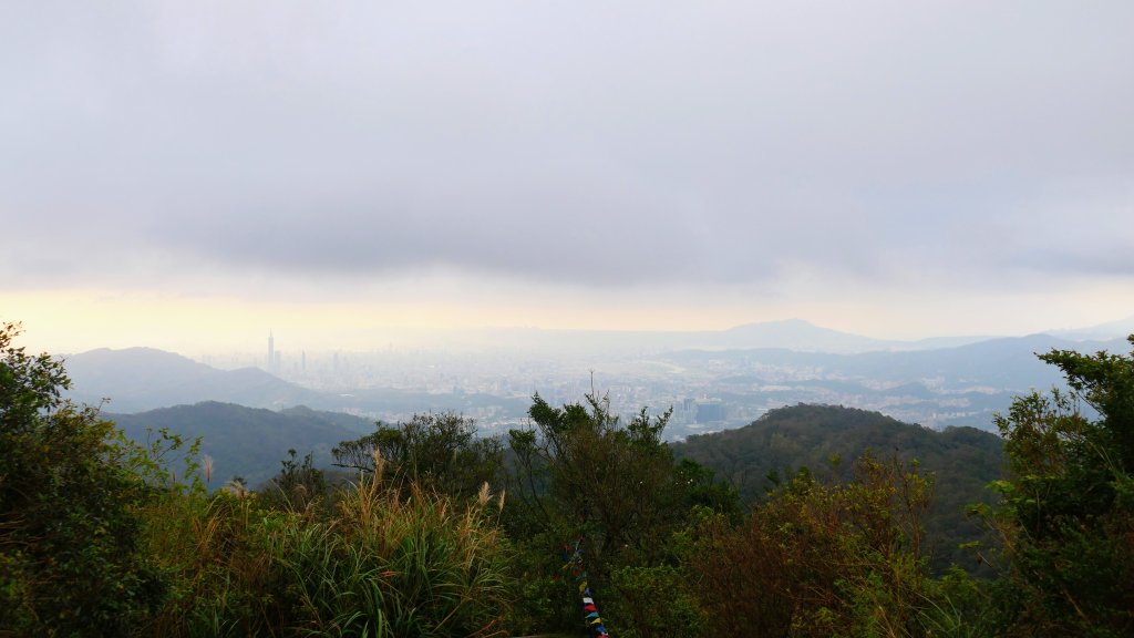 這裡怎麼有兔子還有藍腹鷴?_2663323