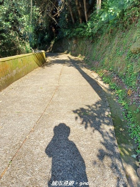 【新竹峨嵋】古樸風情。 獅頭山步道群O型_2397137