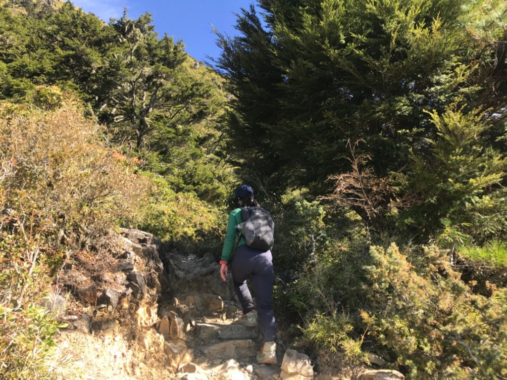 玉山前鋒！八百公尺到天堂的距離_751185