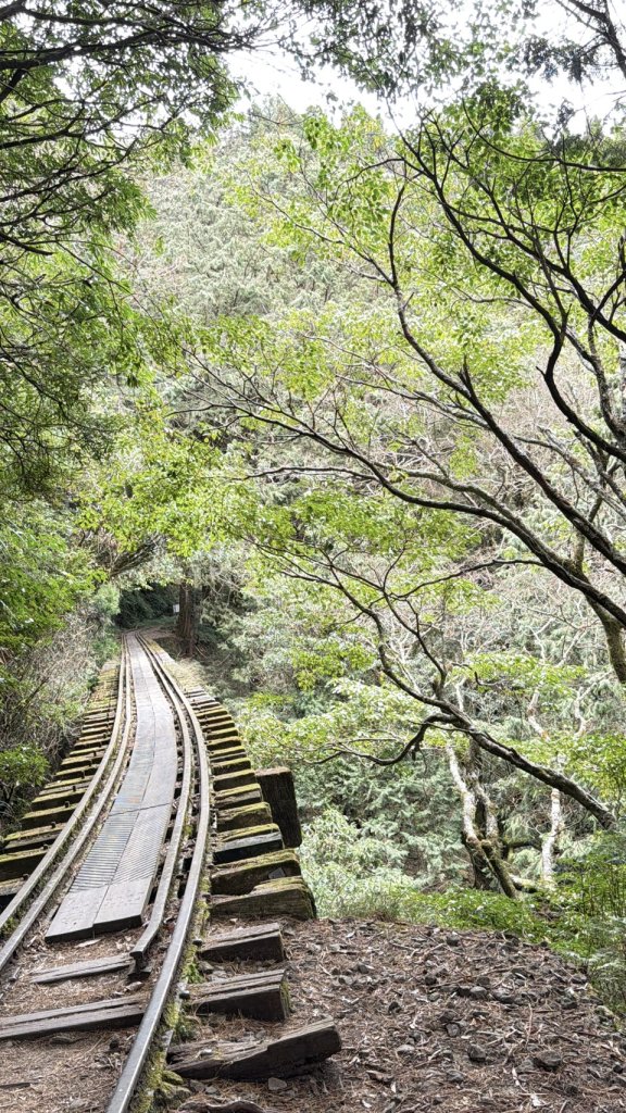 眠月線健行_2993009